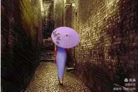 拜星月慢·桂花树下