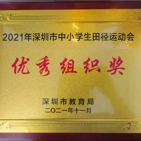 喜报——福中健儿勇拼搏，体育竞赛创佳绩