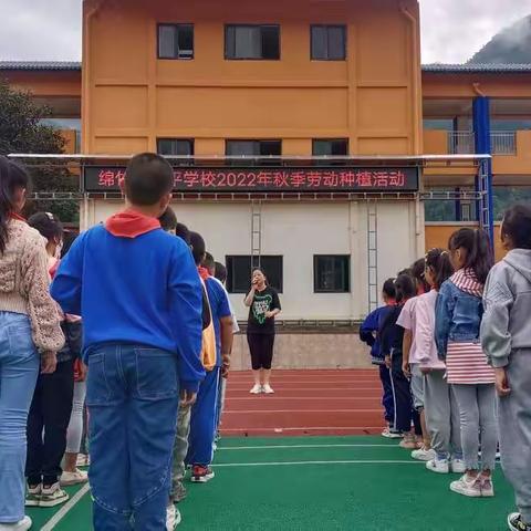 【清平学校】“小小种子播希望”绵竹市清平学校2022秋劳动实践基地种植活动简报