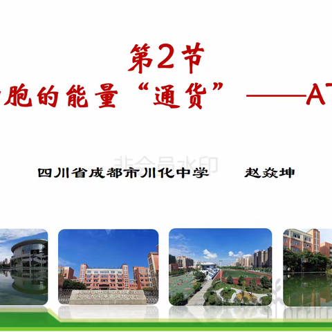 细胞的能量“通货“ ——ATP  .PPT