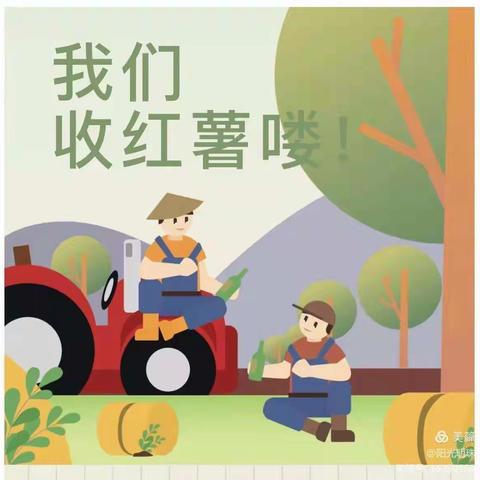 红薯丰收季   甜蜜飘香时——焦作市马村区九里山小学劳动主题实践活动之红薯收获季