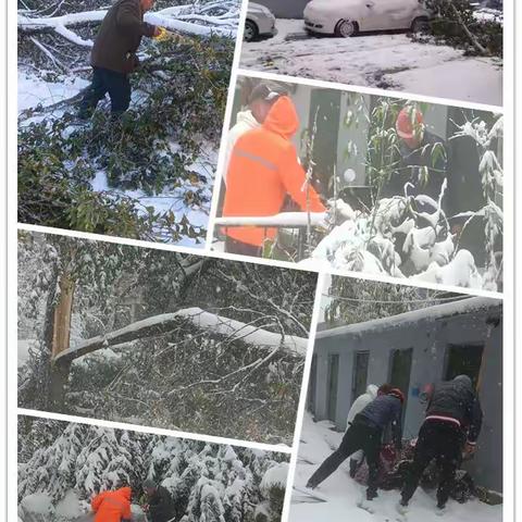 “风雪无阻、扫雪情浓” 农科院社区积极开展积雪清扫行动