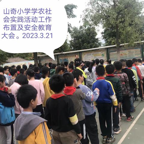 一年农事在春耕——兴业县蒲塘镇山奇小学春季期学农实践活动