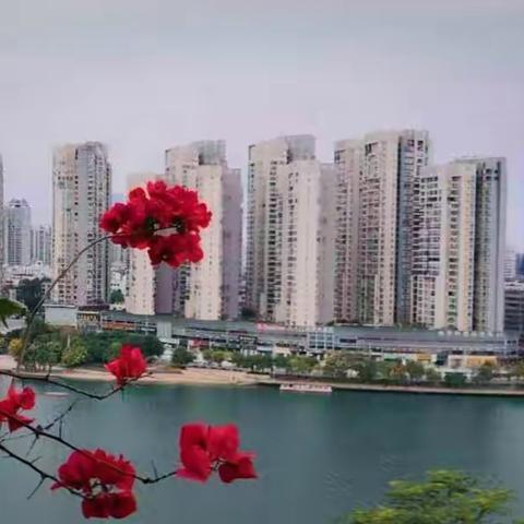 冬至大雾--读秦观《踏莎行·郴州旅舍》