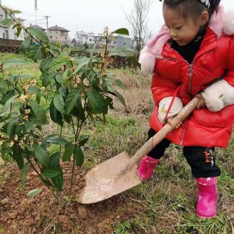 【课题动态】清明时节话清明——湘东区中心幼儿园清明节主题活动