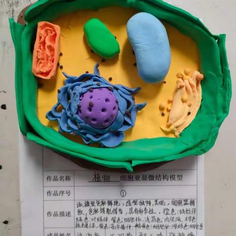 趣味作业，快乐学习