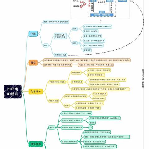 超清思维导图丨选必1稳态与调节