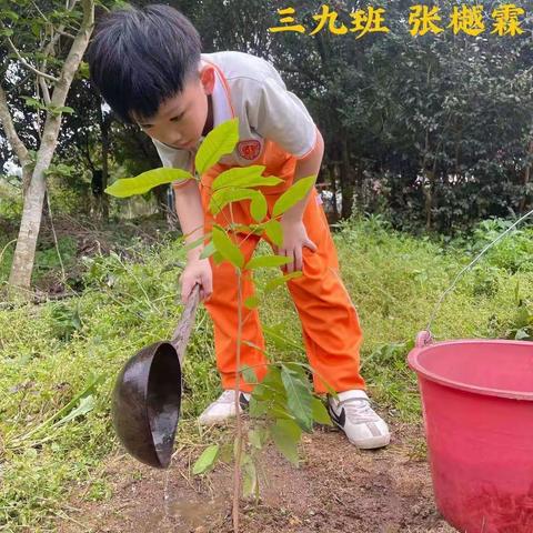 罗定第一小学三（9）班植树活动——行动起来，为地球增添一点绿色