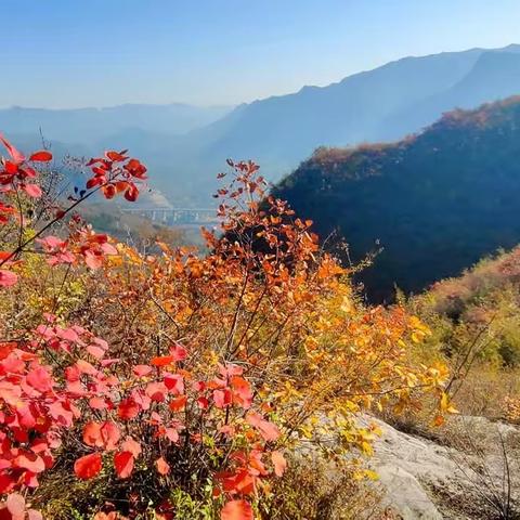 深秋重走源泉独柱山！柿子坡！