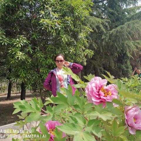 年年岁岁花相似，千娇百媚笑春风