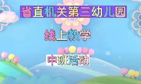 省直机关第三幼儿园中D班五月第三周活动集锦（八）