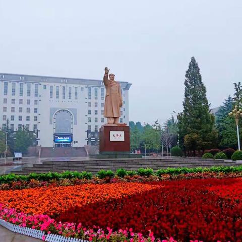 心之所向，素履以往——2020国培音乐青年助力研修日记