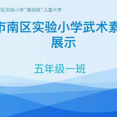 青岛市市南区实验小学五年级武术素养展示（第一阶段）