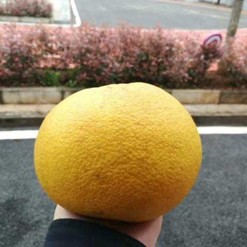 ❤️心与心的交流❤️