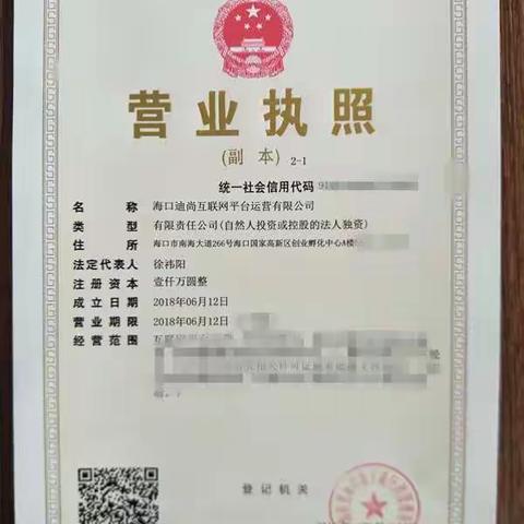 高新区第四家总部经济企业：迪尚集团互联网营销总部完成注册