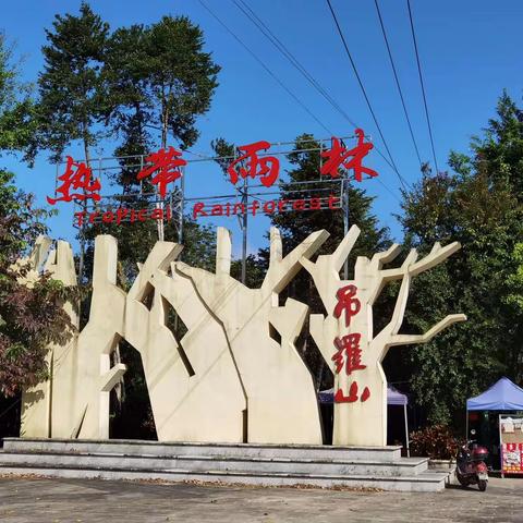 海南吊罗山热带雨林森林公园