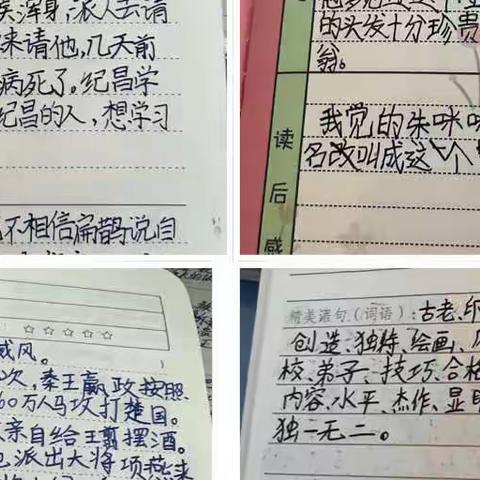 四年级语文全学科阅读活动分享