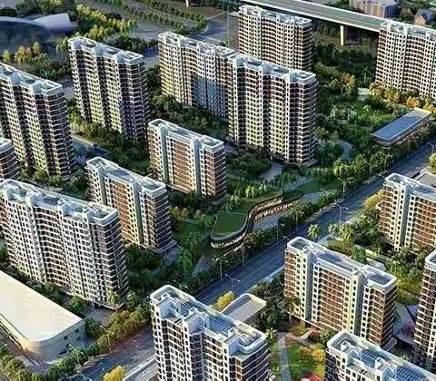 正月初五赏春景