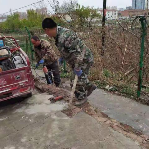 新民菜场爱国卫生月工作动态