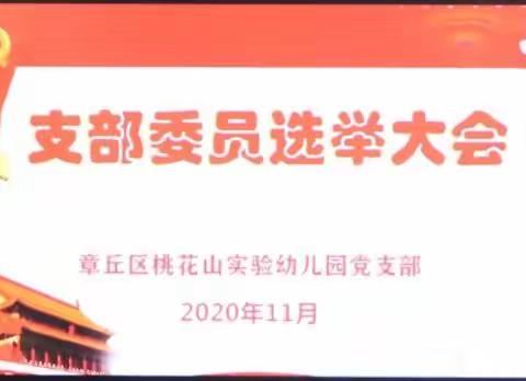 章丘区桃花山实验幼儿园党支部召开支部委员选举大会