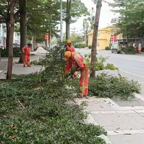 育才园林修剪树枝，美化环境