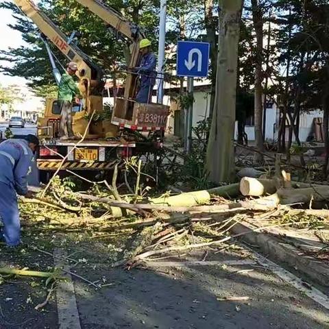 育才生态区园林管护工作