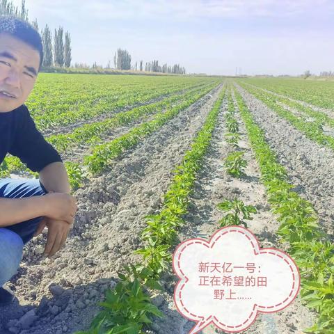 【巴州掌上农资有限公司】技术服务+回访