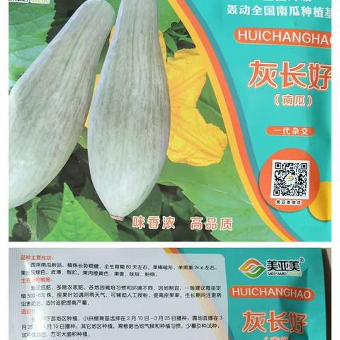 巴州掌上农资有限公司――高端蔬菜篇