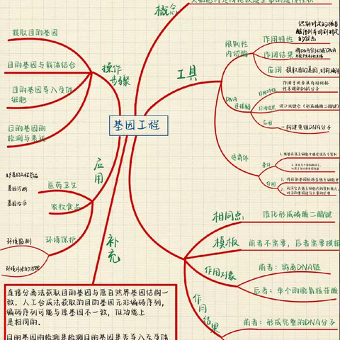 思维导图