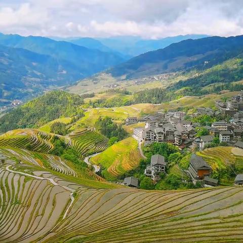 龙脊梯田