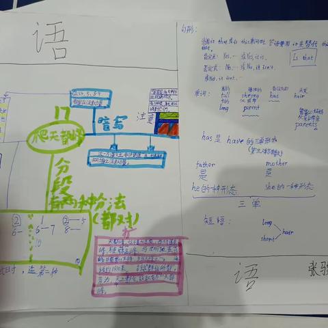 鲲鹏队四年级合作学习报告汇总11月18日