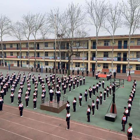 虎🐯力全开，一起向未来🌈——马头小学开学纪实