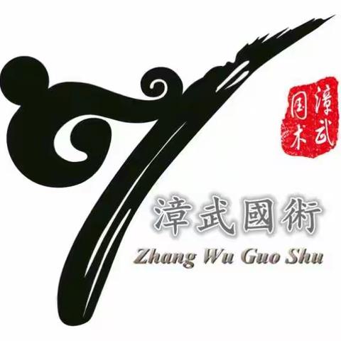 安阳漳武国术馆春季招生进行中