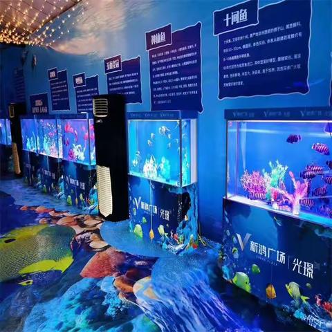 河南现货互动观赏海洋生物展出租租凭