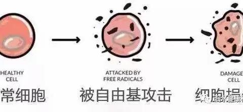 活性富氧水与人体内的氧化自由基