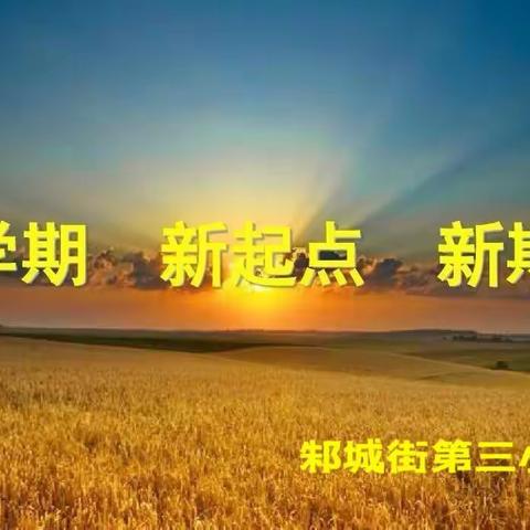 笃行共奋进    齐心向未来——邾城街第三小学2023年春第一次班主任会