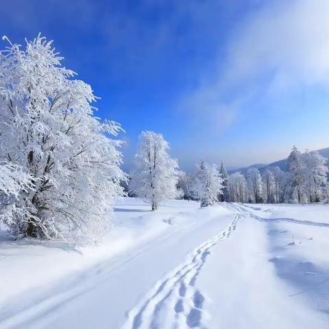 第一场雪呀