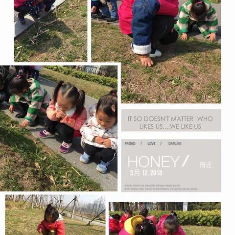 3月12日植树节，我在寻找春天！