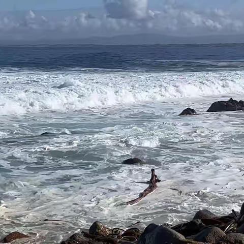观沧海