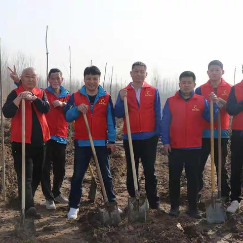 山东商河汇金村镇银行积极参加义务植树活动