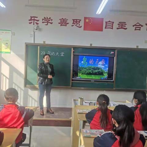 万壑树参天，千山响杜鹃。——新城小学语文教研组《鸟的天堂》公开课