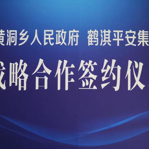 鹤淇平安集团与黄洞乡政府举行战略合作签约仪式