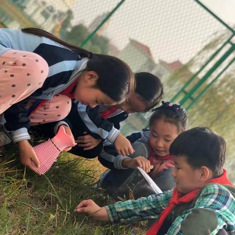 How we express ourselves ？ 