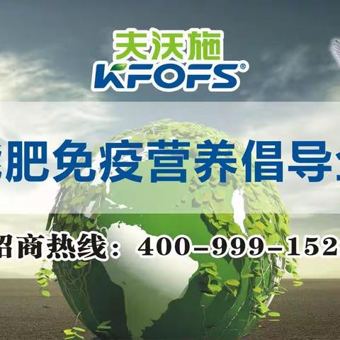 底肥三件套，优质高产问题少，夫沃施让种植者有更好收益！