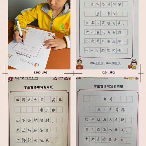 特色作业展风采 虎年一起向未来