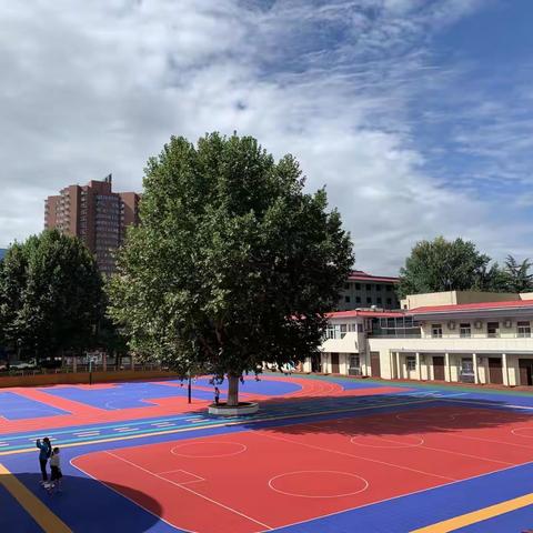 树木，育人------魏艳芳名师+研修共同体教育札记