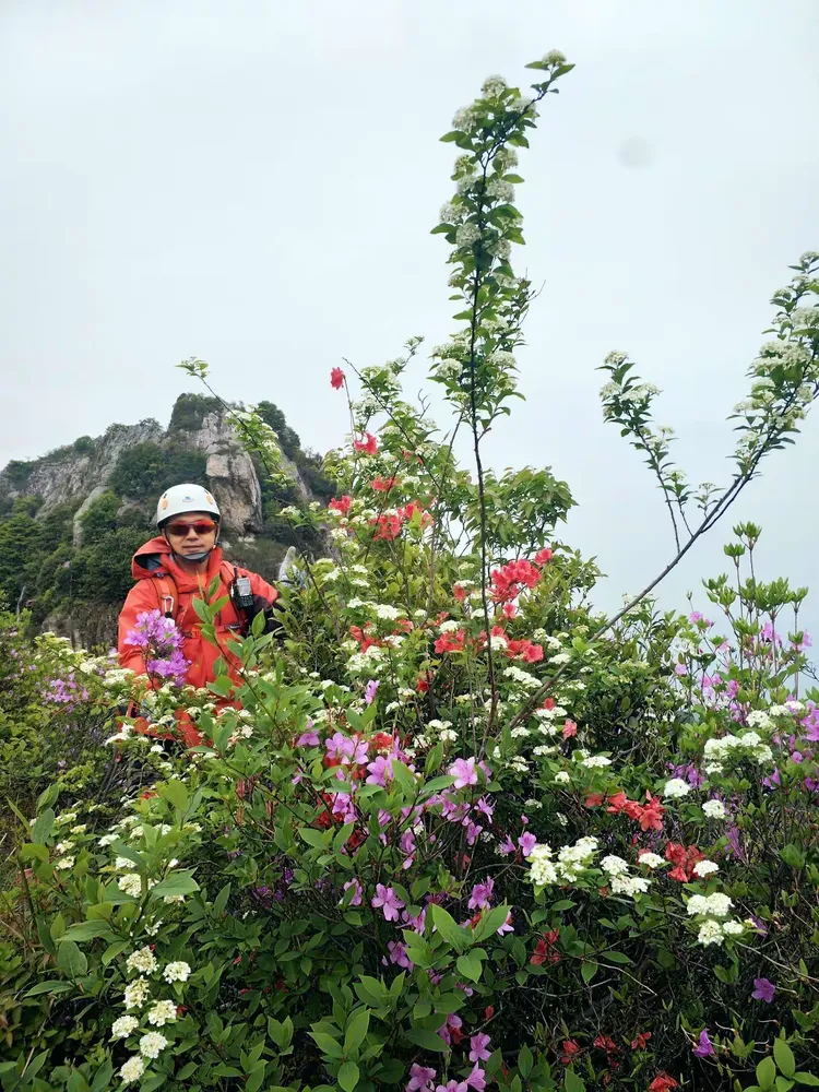 百花盛开的雁荡山龙脊