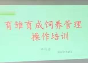 《用心经营，用数据说话》四川新绵樱种鸭养殖基地育雏育成管理培训