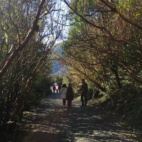 寻梦新西兰（四）