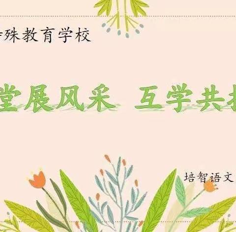 夏日花草盛  听课共提升——同心县特殊教育学校培智语文教研活动